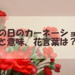 母の日に贈るカーネーションの色と意味は？花言葉から知る要注意カラー！