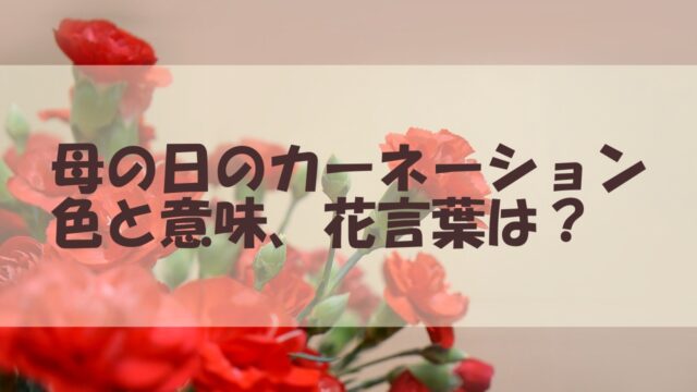 母の日 カーネーション 色 意味 花言葉 要注意カラー