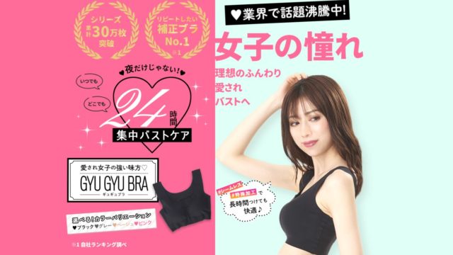 ギュギュブラ 付け方