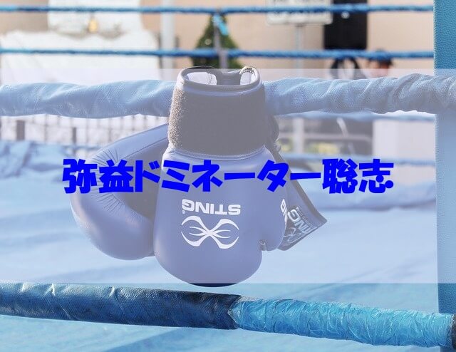 弥益ドミネーター聡志のwikiや経歴 大学 高校などの学歴や勤め先の会社名もチェック あいうえニュース