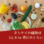 ヨシケイの値段は2人で1ヵ月どのくらい？量は少ないの？