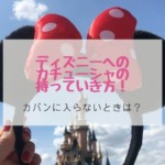 ディズニーへのカチューシャの持っていき方！カバンに入らないときはどうする？